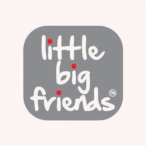 Little Big Friends