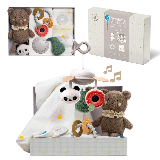 Kit de Regalo Recién Nacido Premium Taf Toys