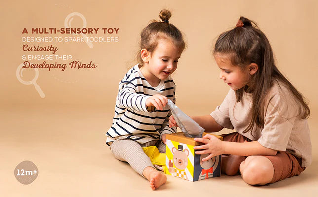 Cubo para jugar y descubrir Taf Toys