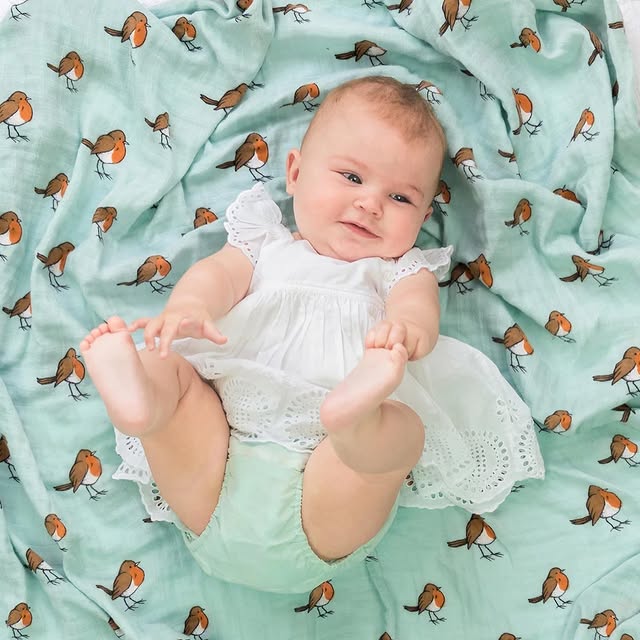 Swaddle Little Robin Little Blue Nest