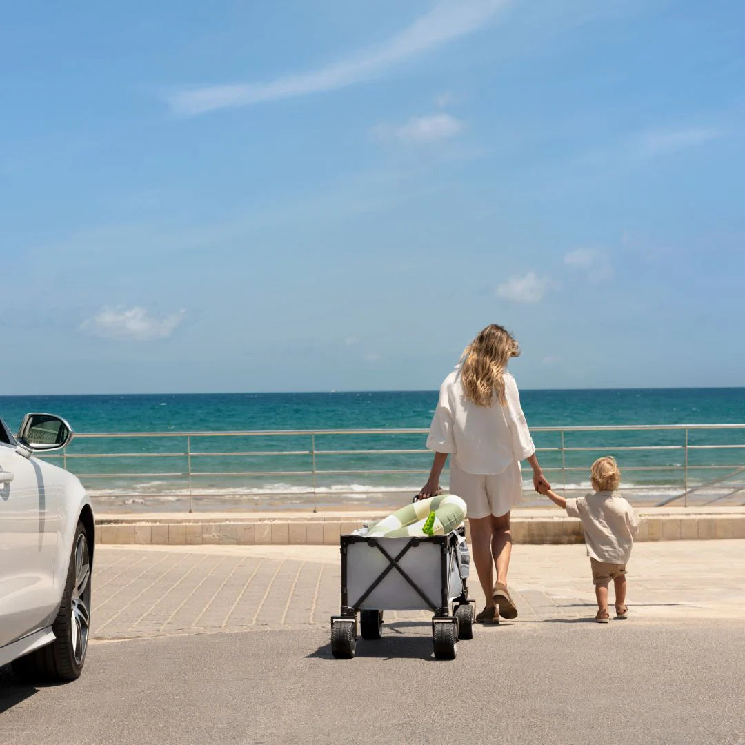 Carrito de transporte plegable Rollster Black Kinderkraft