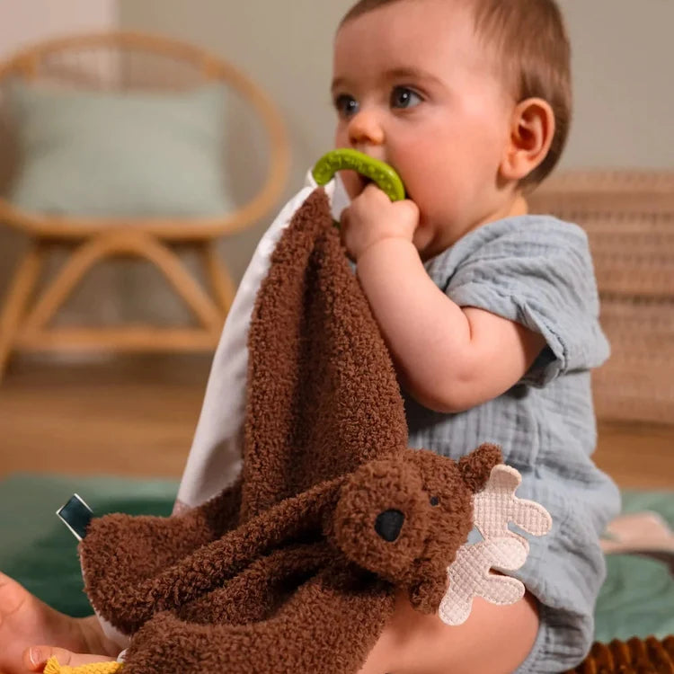 Caja regalo para bebé Bosque Little Big Friends