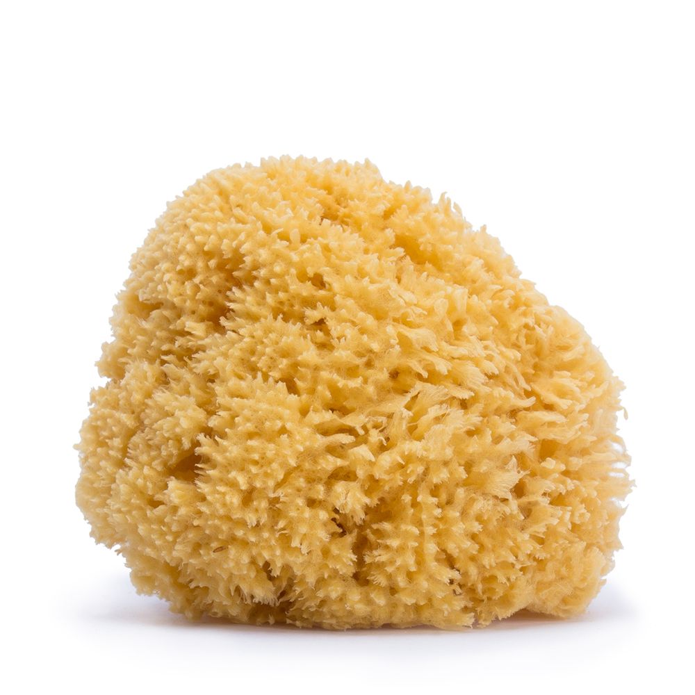 Esponja Natural Suavinex