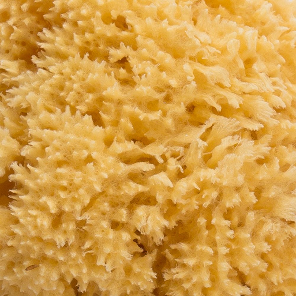 Esponja Natural Suavinex