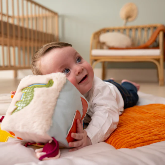 Cubo suave de actividades Amigos Dinos Little Big Friends