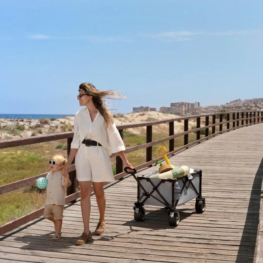 Carrito de transporte plegable Rollster Black Kinderkraft