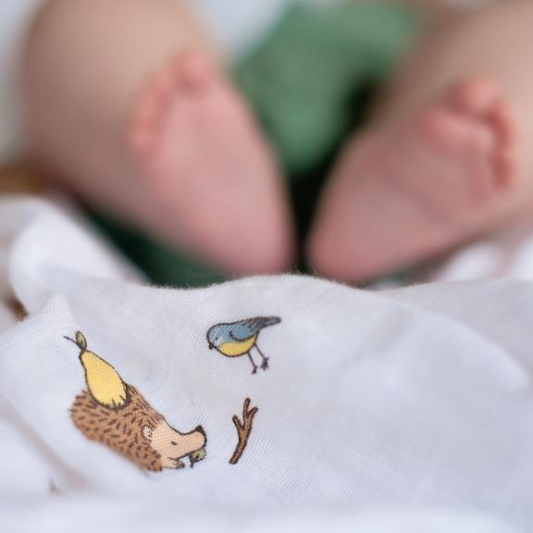 Swaddle Woodland Hedgehog Little Blue Nest
