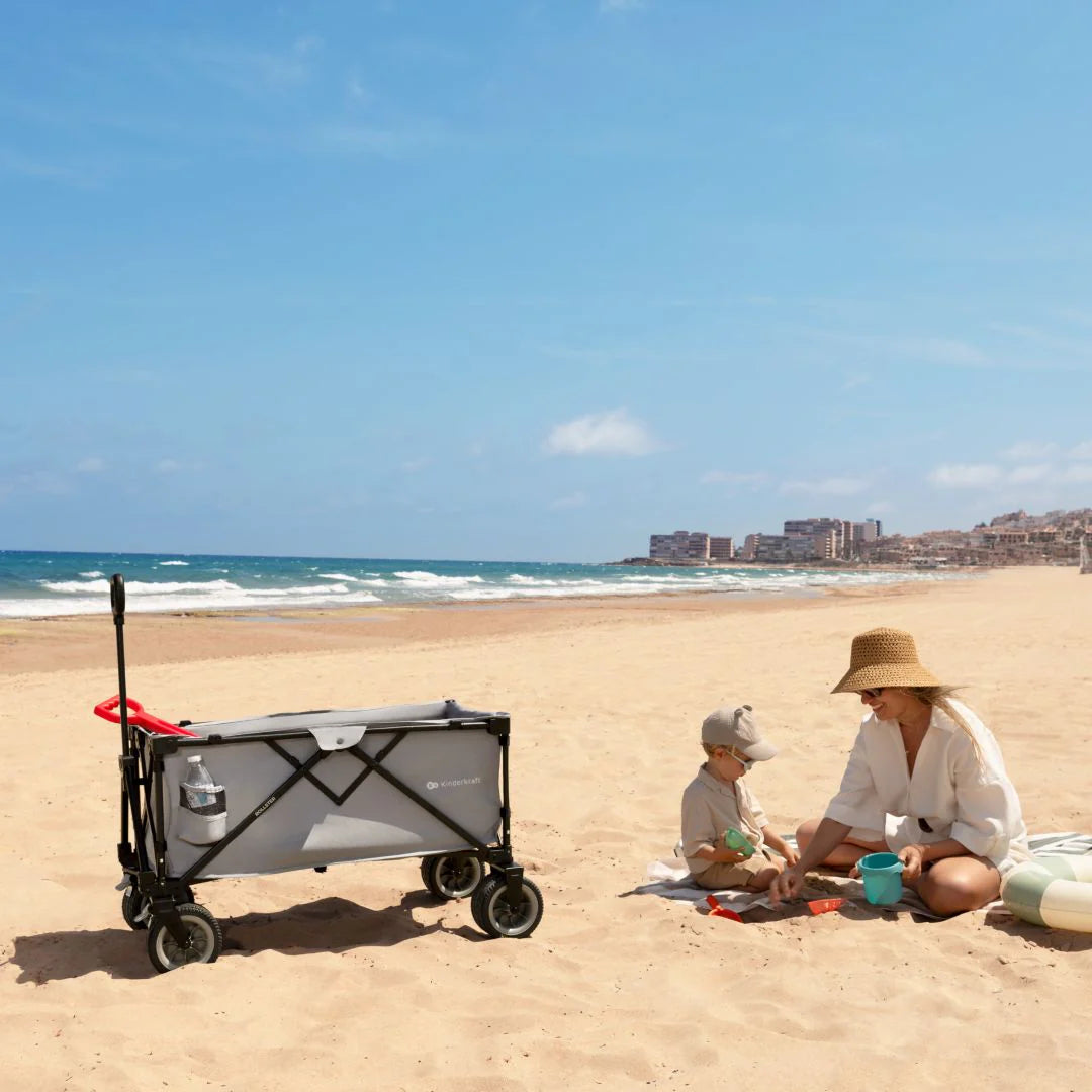 Carrito de transporte plegable Rollster Black Kinderkraft