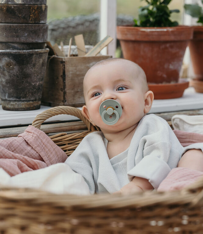 Chupete Bibs Colour x2 | 0-6 Meses | Sage & Ivory