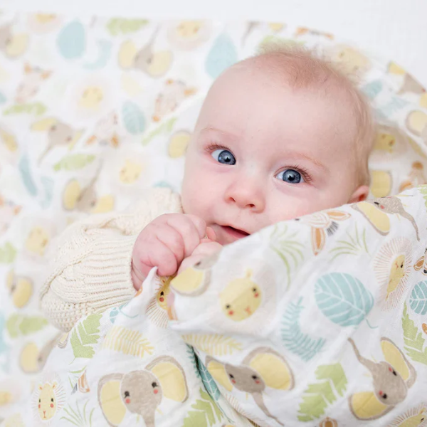 Swaddle Jungle Lulujo