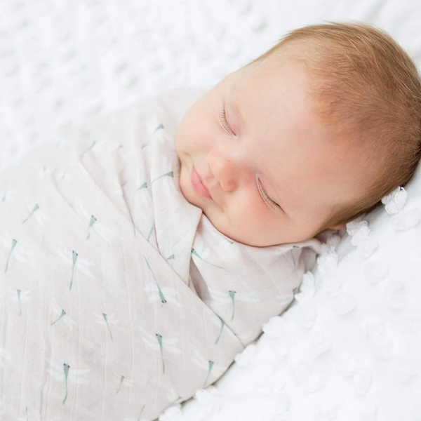 Swaddle Dragonfly Lulujo