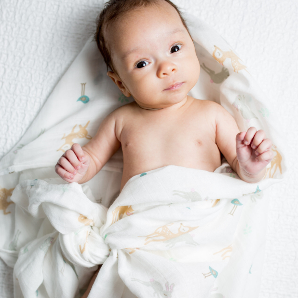Swaddle Little Fawn Floral Lulujo