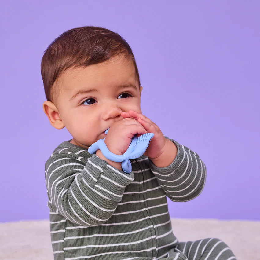 Mordedor de muñeca Azul B.Box