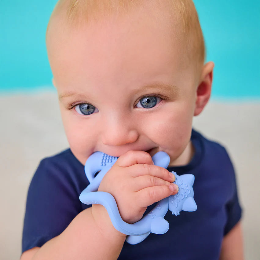 Mordedor de muñeca Azul B.Box
