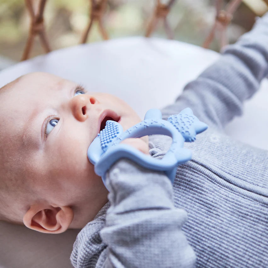 Mordedor de muñeca Azul B.Box