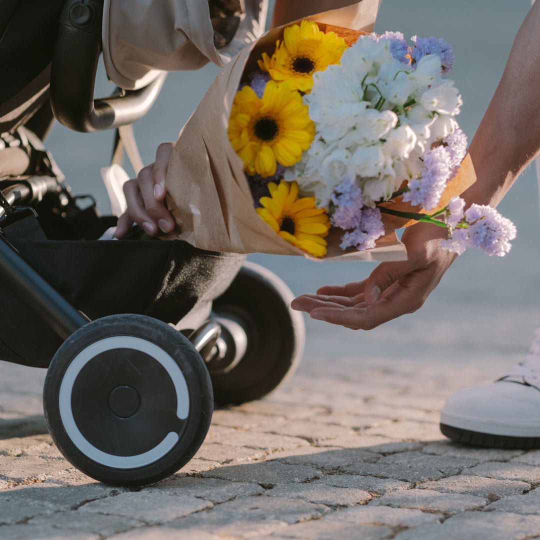 Coche Triciclo Traveler Everest White Smartrike