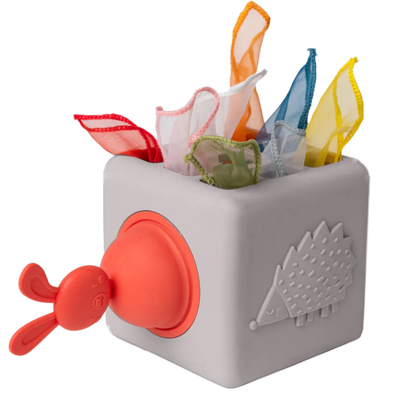 Cajita de estimulación Taf Toys