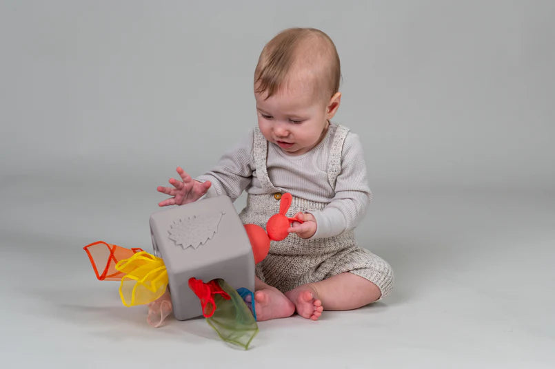 Cajita de estimulación Taf Toys