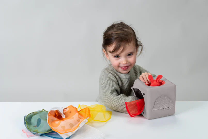 Cajita de estimulación Taf Toys