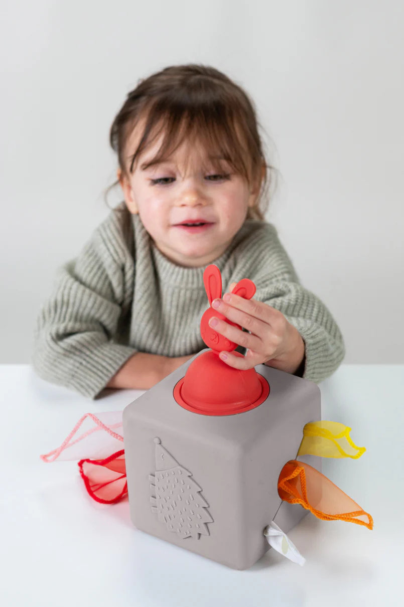 Cajita de estimulación Taf Toys