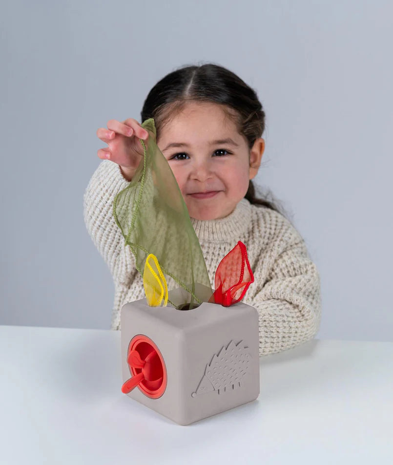 Cajita de estimulación Taf Toys