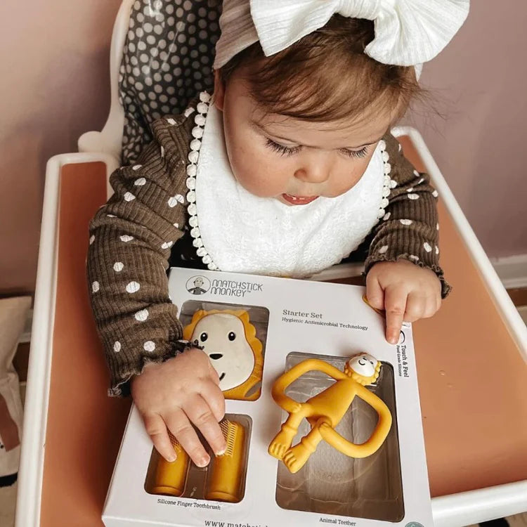 Set de Inicio Ludo León Matchstick