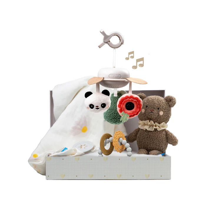 Kit de Regalo Recién Nacido Premium Taf Toys