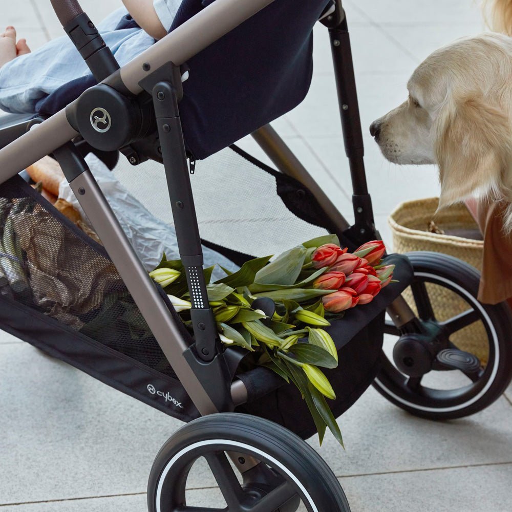Travel System Gazelle S Black + Aton S2 + Base Cybex
