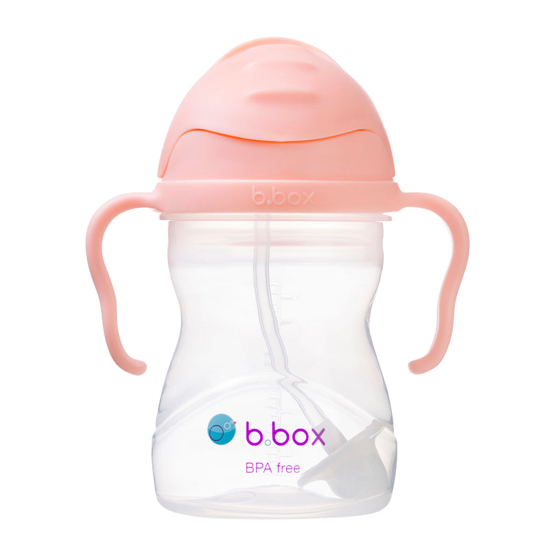 Vaso Sippy B.Box Tutti Fruitti