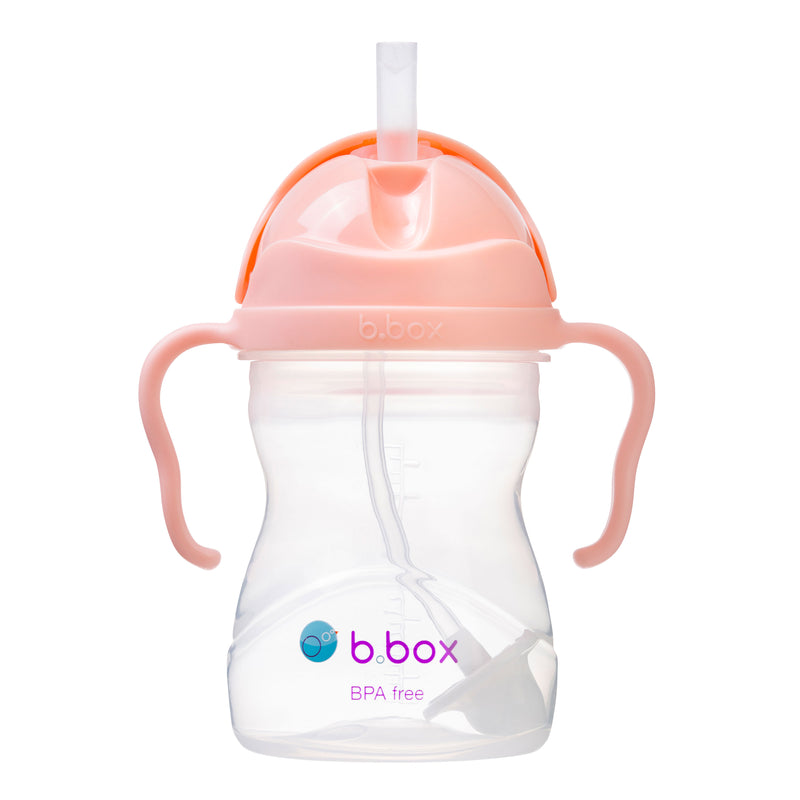 Vaso Sippy B.Box Tutti Fruitti