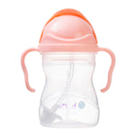 Vaso Sippy B.Box Tutti Fruitti