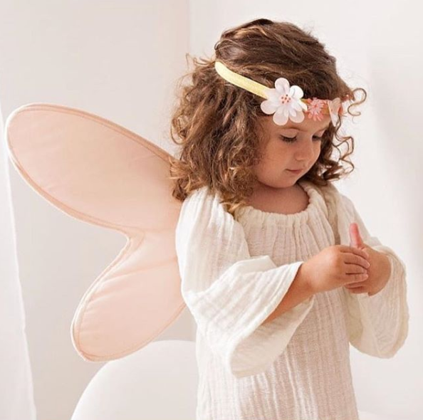 Disfraz Alas y Diadema de Hada